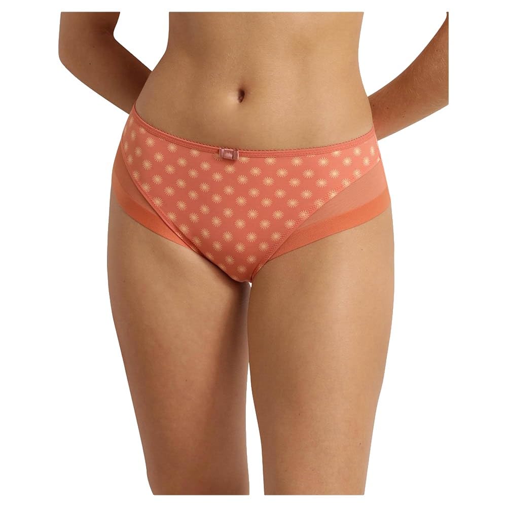 DIM Generous Classique slip microfibra tulle