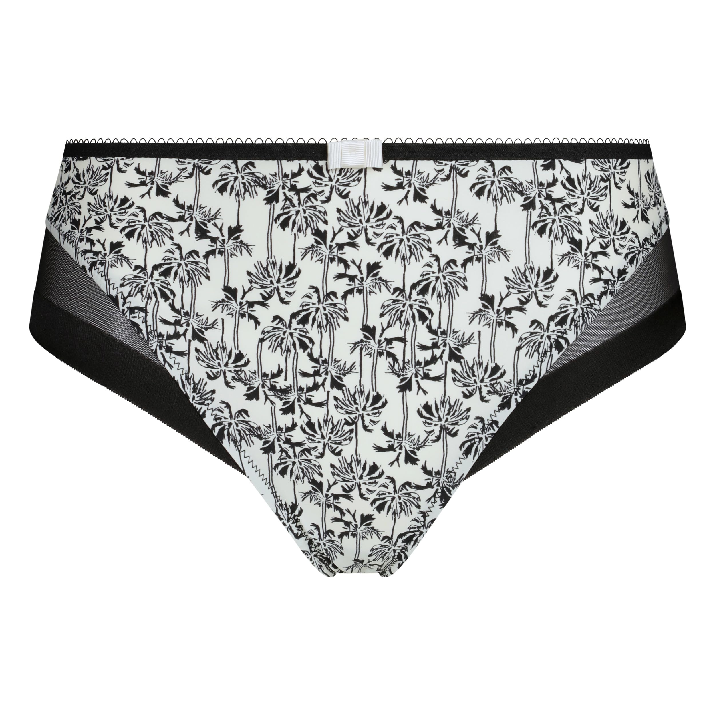 DIM Generous Classique slip microfibra tulle