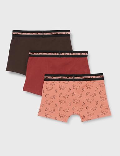 DIM Fashion Coton Boxer Bambino x3 Fantasia
