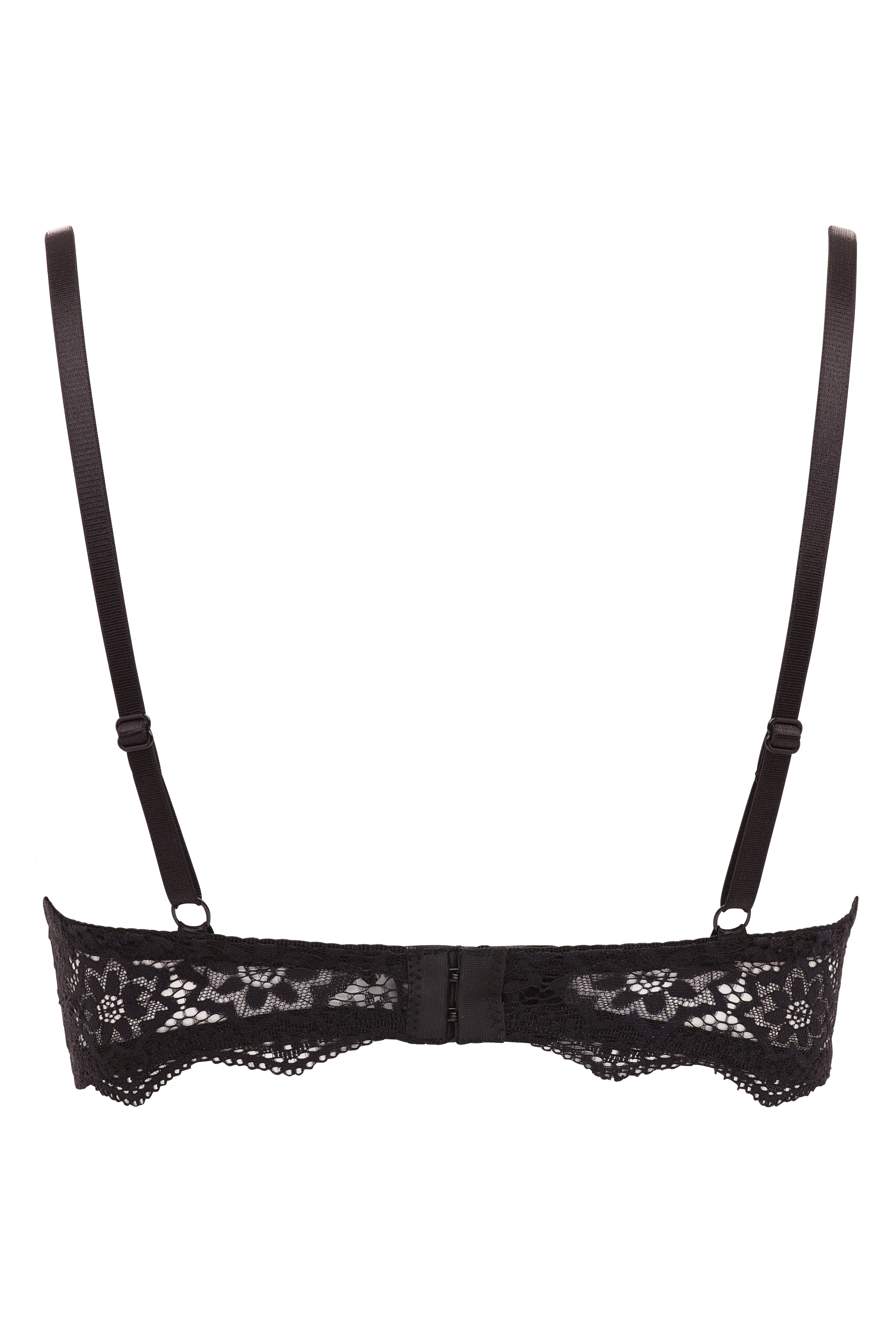 René Rofé Lace Push Up reggiseno pizzo 2 pezzi nero rosso