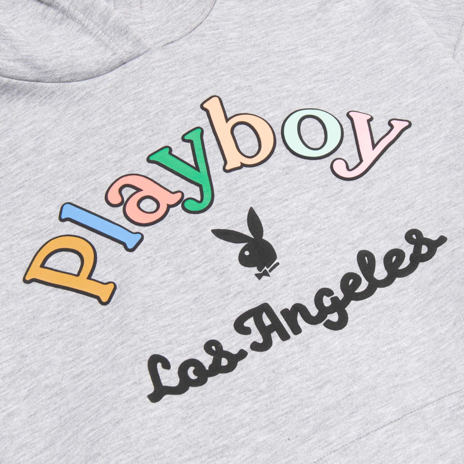 Playboy Rainbow Masthead felpa cappuccio grigia cotone
