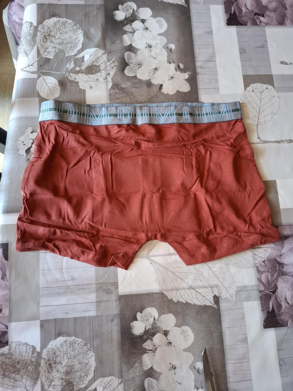 Dim Ecodim slip bambino cotone x5 pack colori